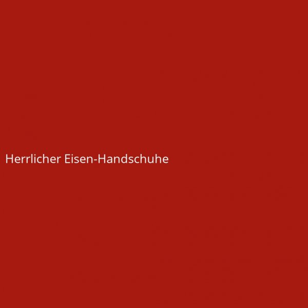 Herrlicher Eisen-Handschuhe
